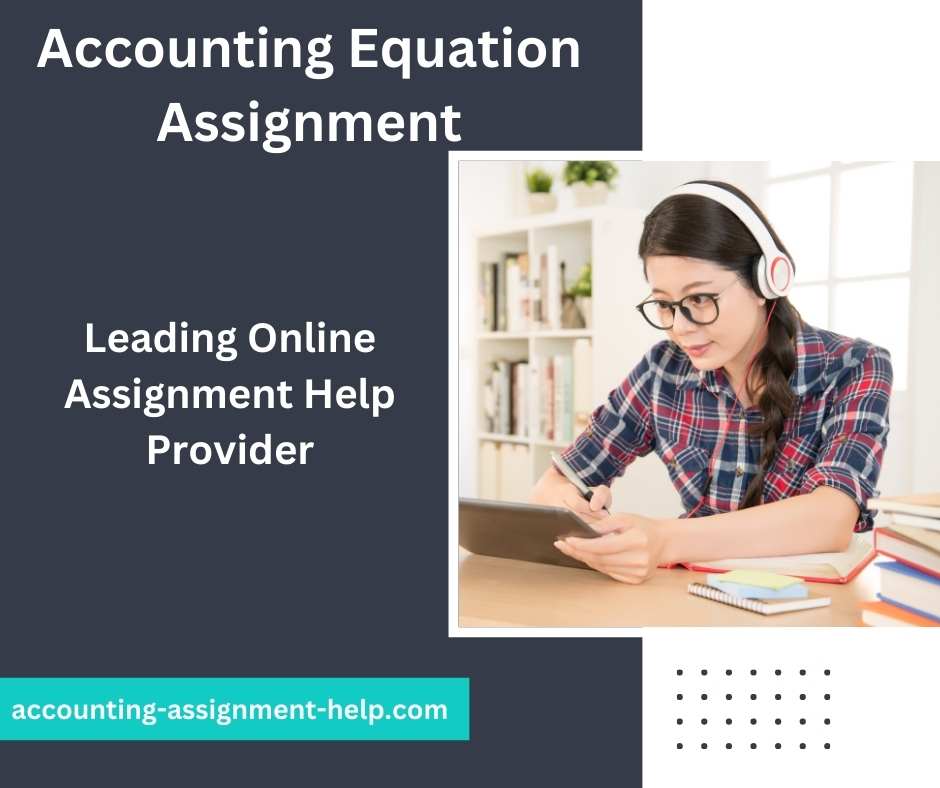 Accounting Equation Assignment