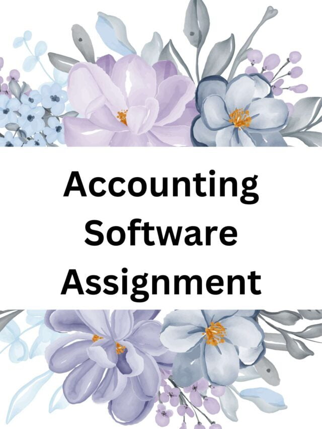 Accounting Software Assignment