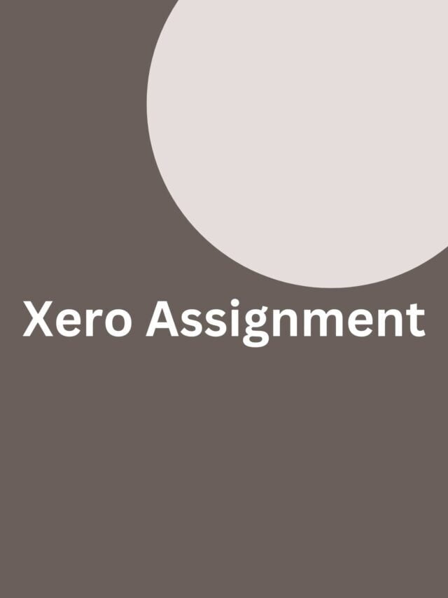 Xero Assignment