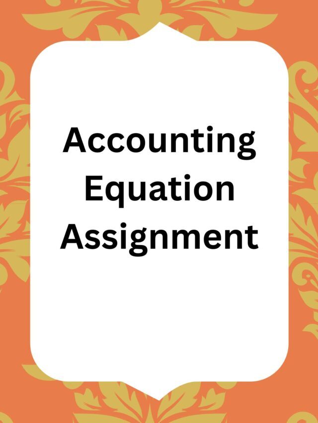 Accounting Equation Assignment