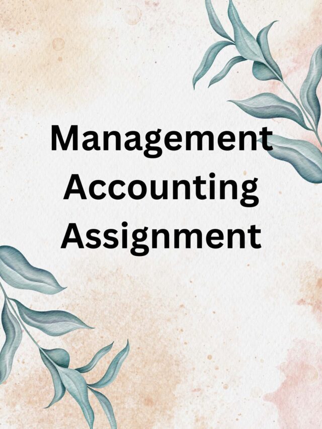 Management Accounting Assignment