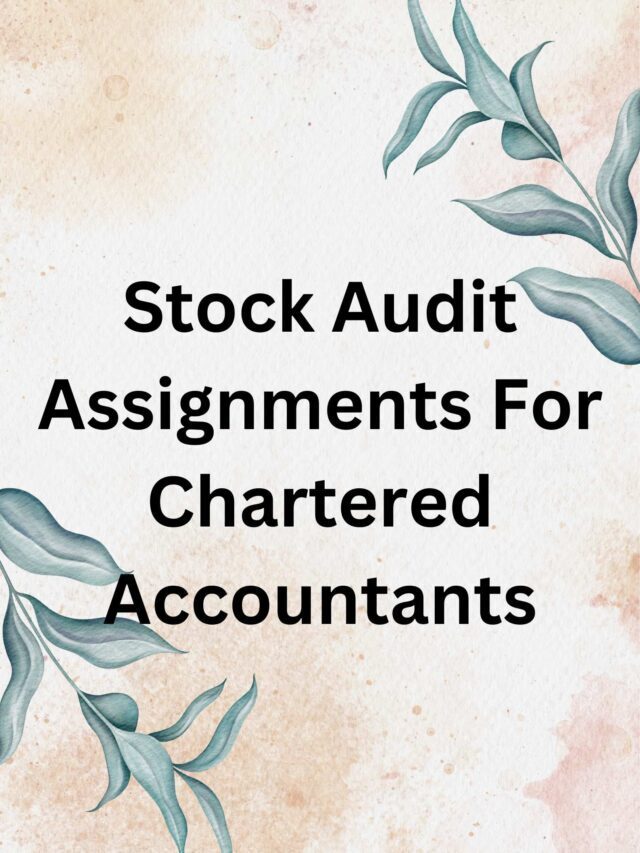 Stock Audit Assignments For Chartered Accountants