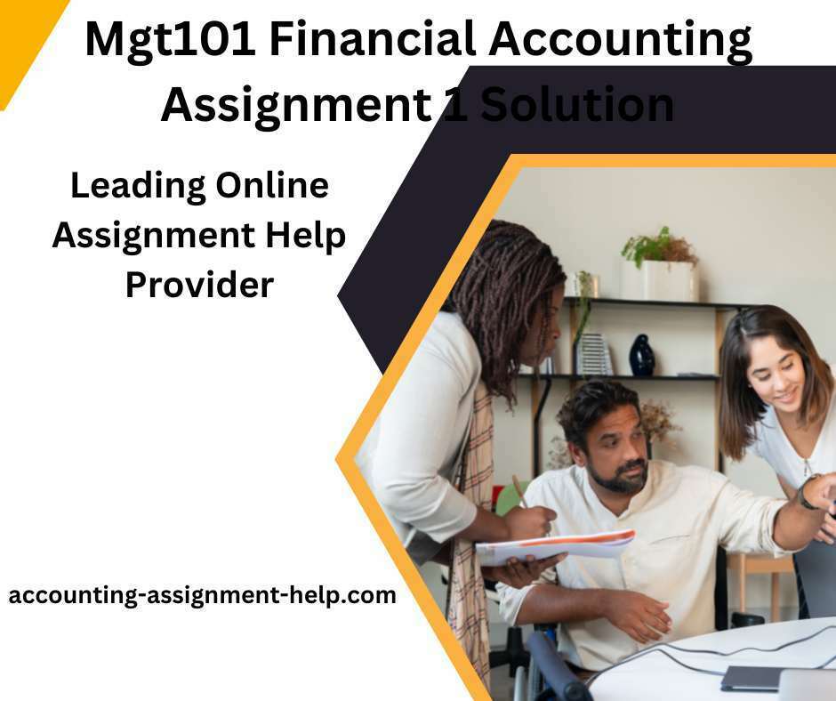 financial accounting (mgt101) assignment # 01