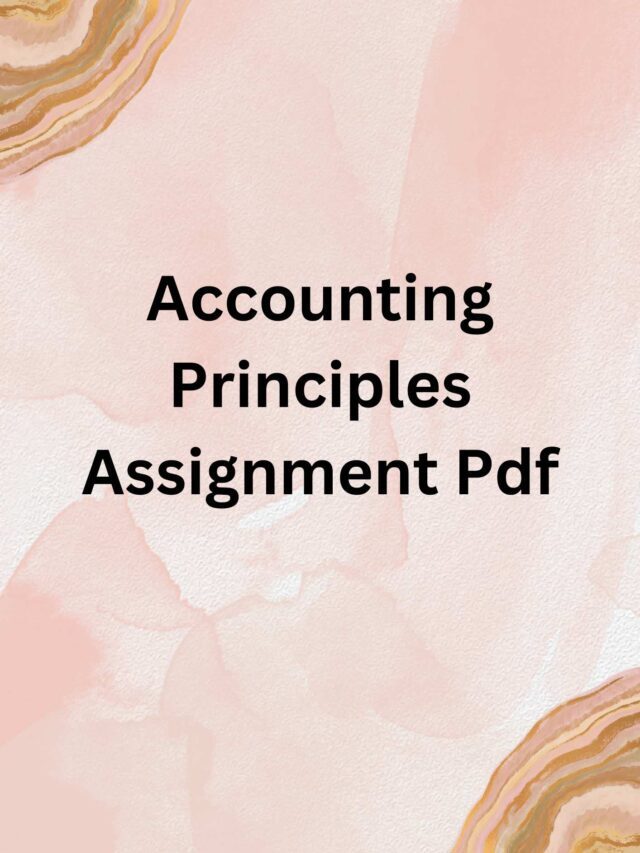 Accounting Principles Assignment Pdf