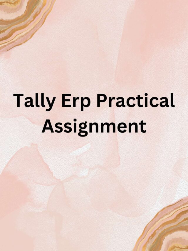 Tally Erp Practical Assignment