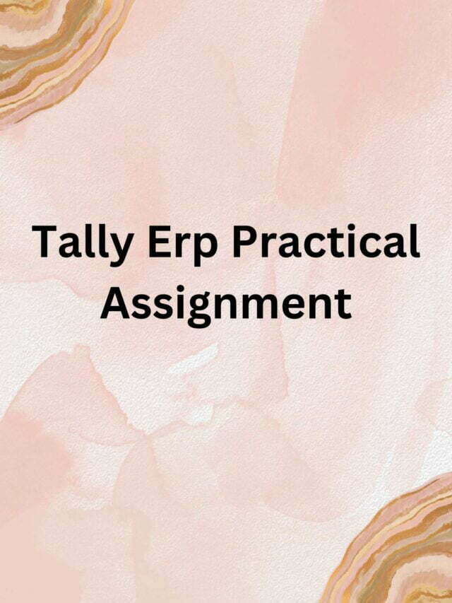 Tally Erp Practical Assignment